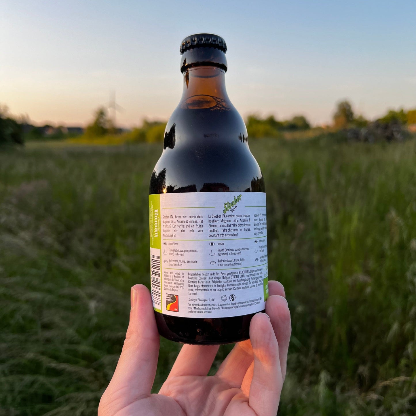Sloeber IPA