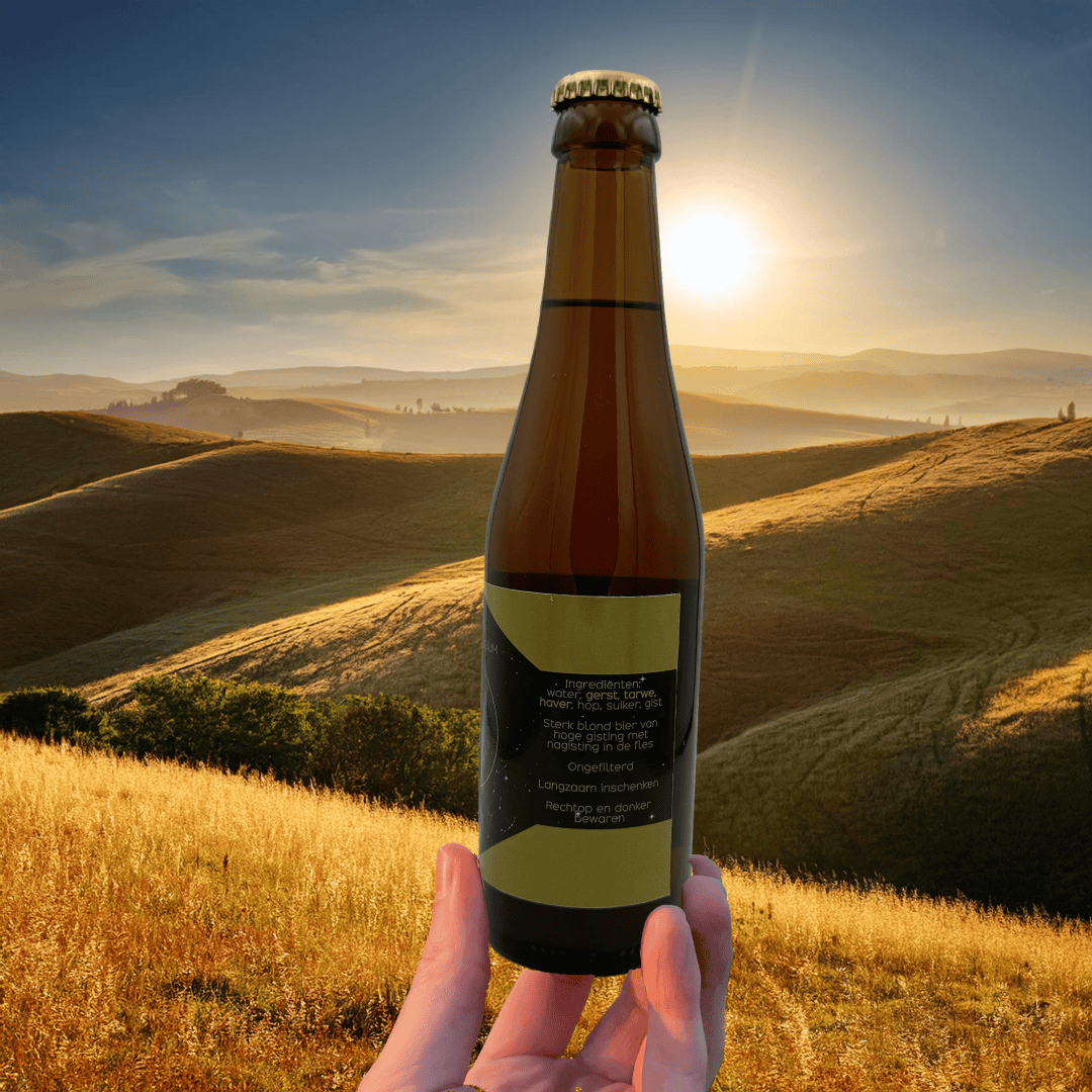 000 ___ Modèle Losse bières