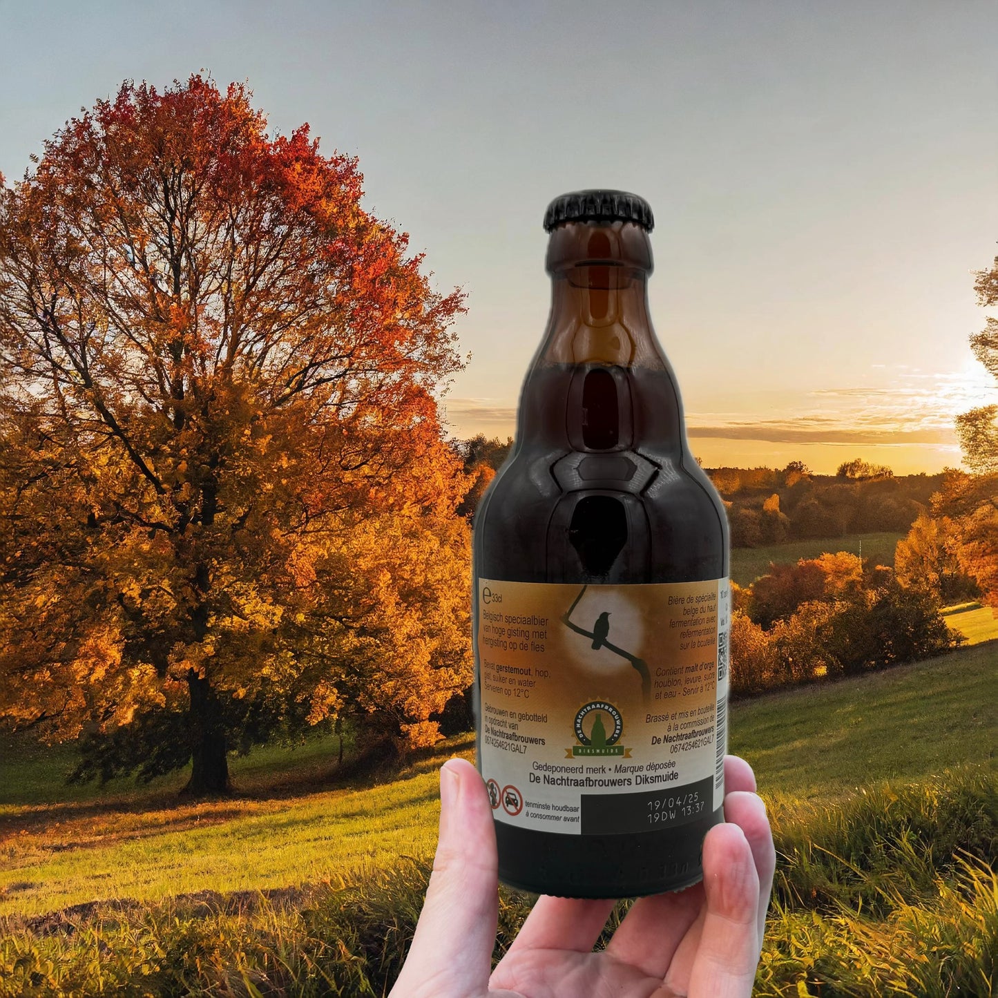 Corbeau de nuit Quadrupel